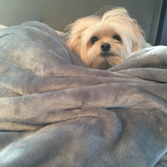 Meet your Posher, Renee - Picture 1 of 1